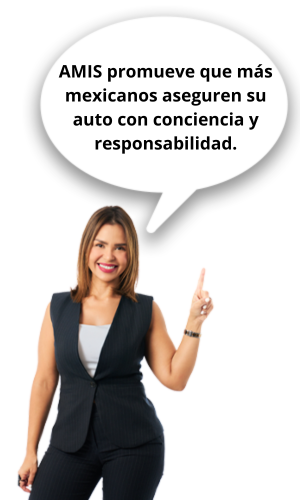 que es la amis