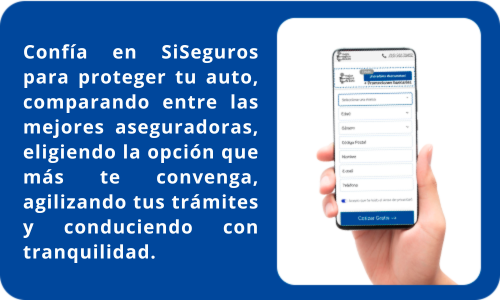 sisesguros