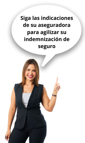 indemnizacion de seguro