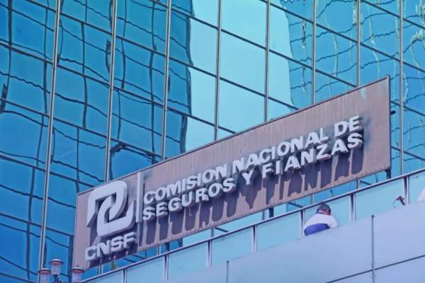 que es la cnsf y como trabaja