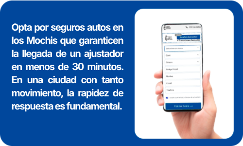 seguros autos mochis
