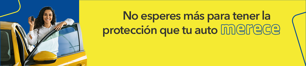 Pago Seguro